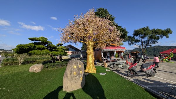 115.01.03山水步道-中庄吊橋-月眉落羽松之旅2977064