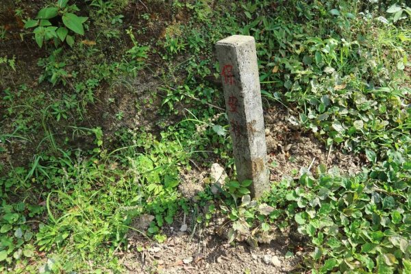 小百岳NO12  汐止大尖山 縱走海拔641公尺 四分子尾山2229063