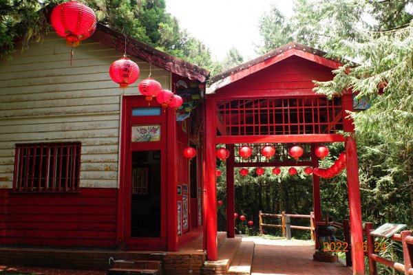 宜蘭 大同 太平山森林遊樂區1743649