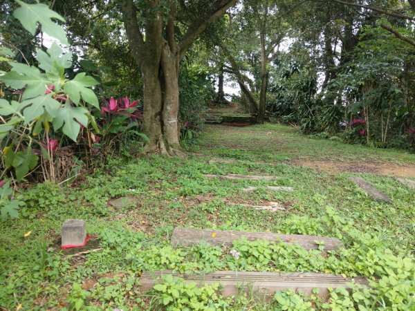 新店小獅山訪11座涼亭縱走待老坑山尋山頭902163