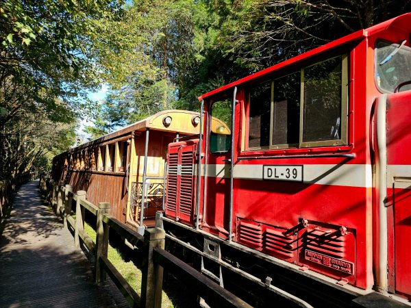 台灣難抵極與祝山觀日步道(小笠原山) - 2024嘉遊好步道．來嘉走走2670107