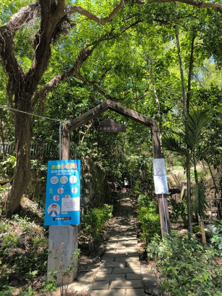 20250906泰山辭修公園、尖棟山、69步道、瓊仔胡2879479