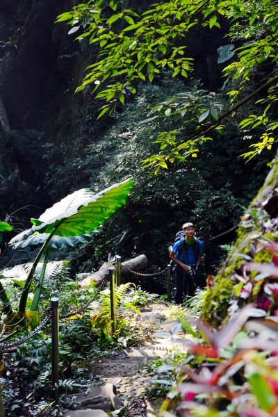 樟之細路（獅潭至彼岸橋）735317