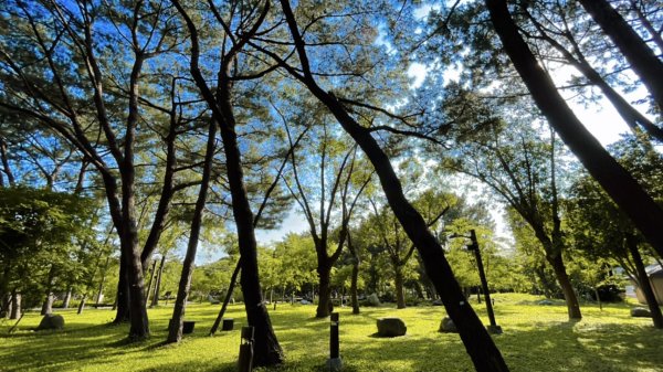 大湳森林公園2817306