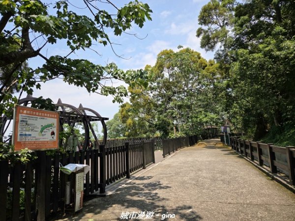 【台中外埔】外埔水流東桐花步道3046213