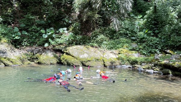 坪林-碧湖溪-蛋糕瀑布群（溯溪）2820943