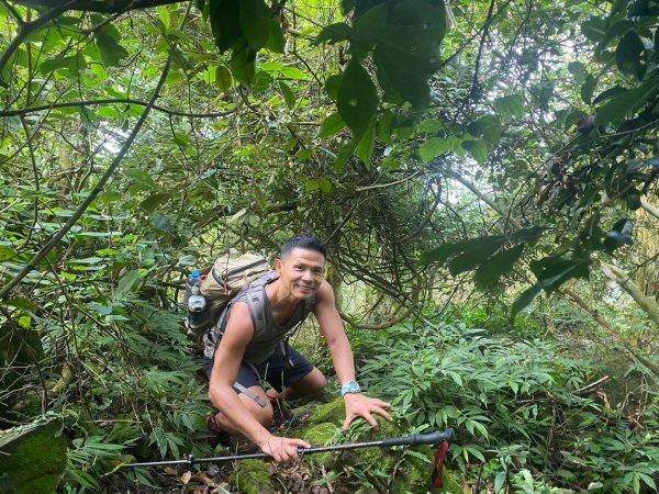 三寶山(烏心石山.鳩州嶺.尖凍山)步道【變成夢魘的大秘寶】2639859
