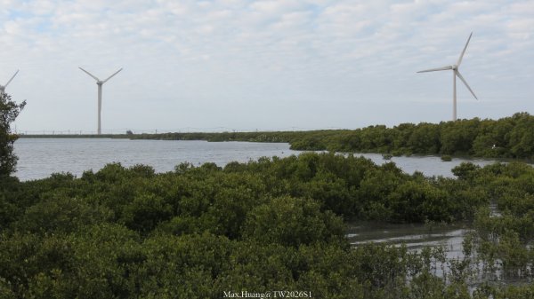《彰化》海空夕照｜王功燈塔及芳苑海空步道健行賞冬候鳥202601102980320