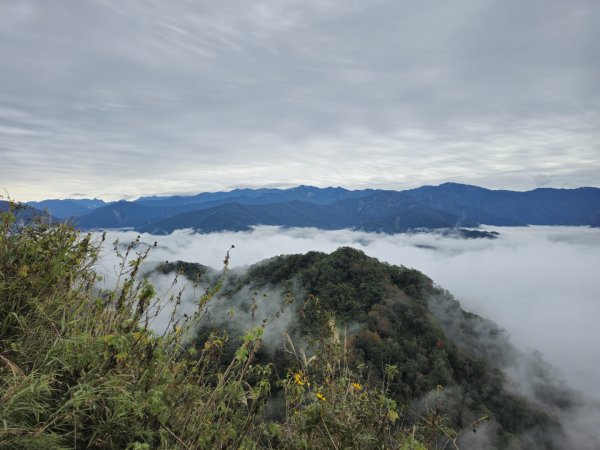 馬那邦山之雲海／雲瀑／楓紅／太陽琉璃光2676360