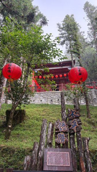 鐵杉林3109918
