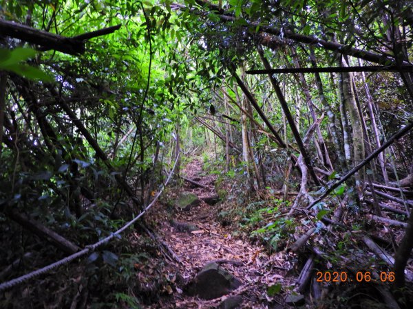 新竹 五峰 鳥嘴山、鵝公髻山986649