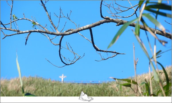 很好滑的，聖母登山步道459979