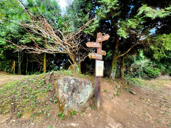 小百岳集起來-馬那邦山2181235