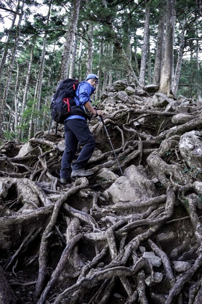 帝王之座-南湖圈谷｜審馬陣山＋南湖北山＋雲稜/南湖圈谷山屋2884857