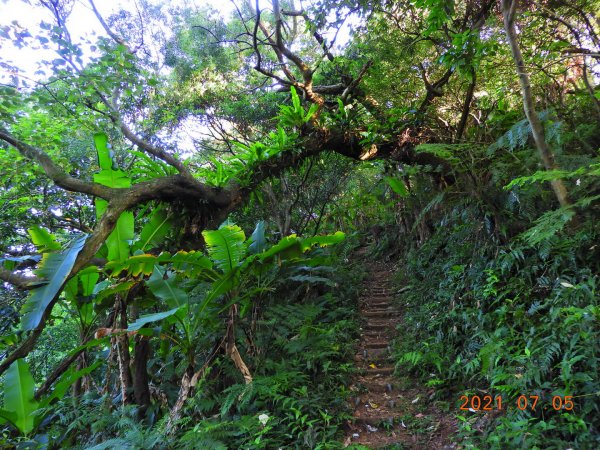 新北 土城 文筆山1422365