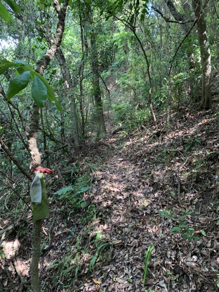 20250830高雄新鳥山2877048