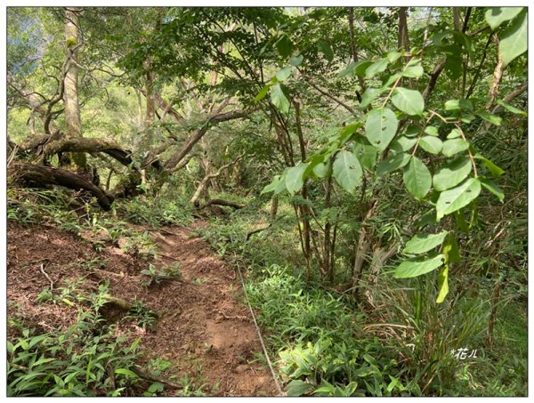 大克山 南稜線A上B下 (卓蘭最高峰)2825470