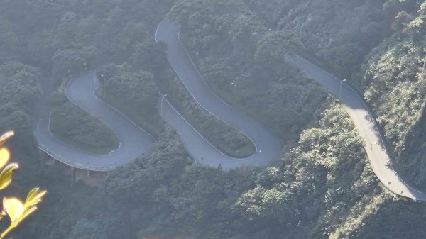 20260115基隆山主東峰2982656