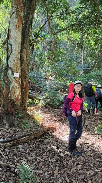 唐穗山11408162860920