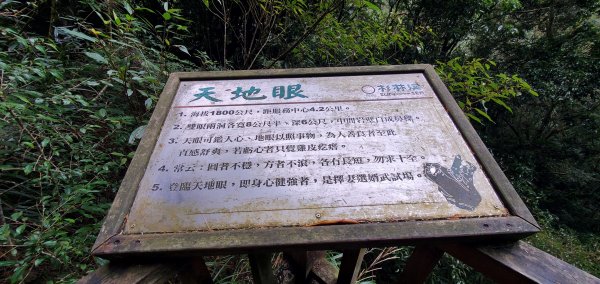 2023-01-01杉林溪青龍蕨類步道(青龍瀑布)、松瀧岩瀑布及天地眼步道1978890