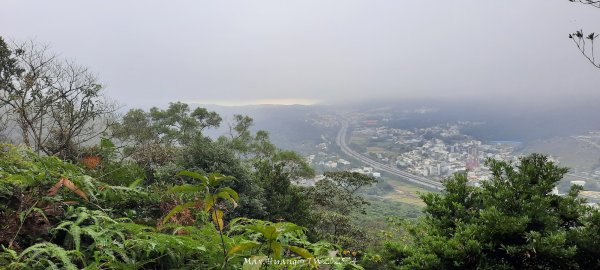 《苗栗》霧雨寒流｜三義三角山步道202512252969214