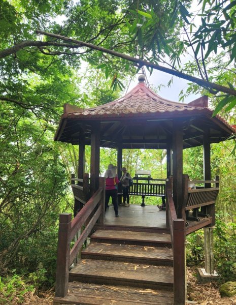 【中級山】台南第一高峰，關子嶺大凍山2741132