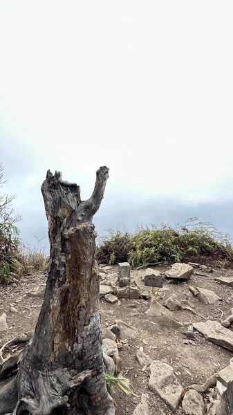 崩潰陡上的水雲三星～鳥嘴山（上島山）2095304