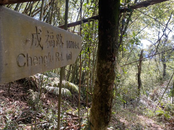 2025微笑山線大縱走尋寶集章任務-Ep.04【天上山系】望月亭桐花段｜石門內尖山東峰 ×石門內尖山2979166