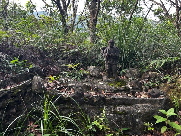 內湖鯉魚山之旅2811728