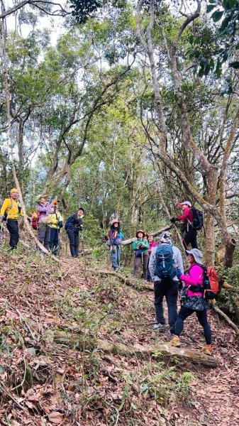 走大橫屏山九份二山(小百岳#45、47)賞梅去2695074