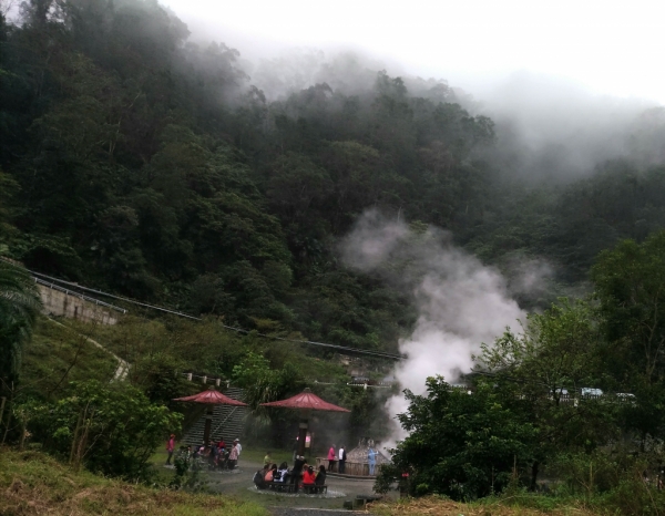 太平山山毛櫸71893