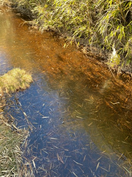 一日單攻白姑大山821534