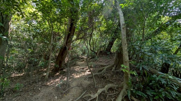 114.08.09溪洲山-新溪洲山之旅2856784