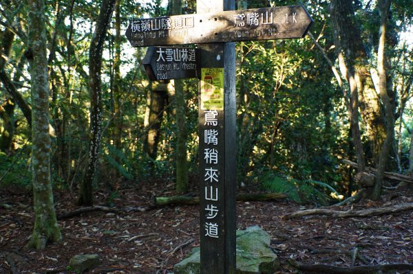 台中 和平 鳶嘴山2926846