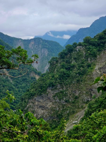 瓦拉米步道(登山口至佳心段)-(花蓮)臺灣百大必訪步道2789404