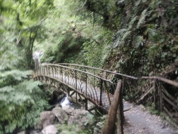 1150728新寮瀑布步道3096889