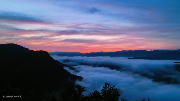 跟著雲海達人山友追雲趣 #琉璃光雲海 #火燒雲雲海 5/92782974