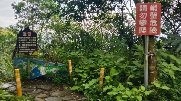 信義區虎山溪步道-岩刻佛像岩下路-四獸山步道-拇指山-南港山-九五峰-麗山橋口步道3076156