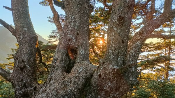 無名山東峰單攻(萬事俱備只欠東風)2021年10月29日1500081