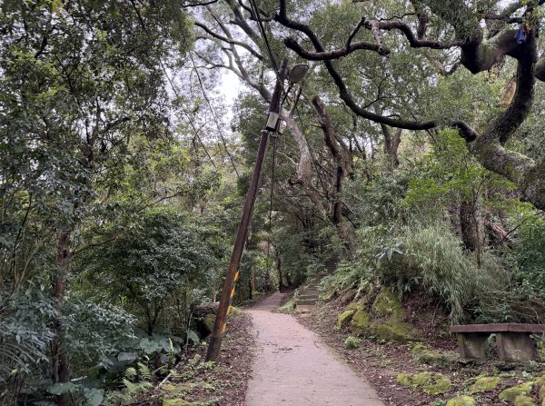 [微笑山線_第三段] 2026_0328 鳶山山系_福德坑山3025565