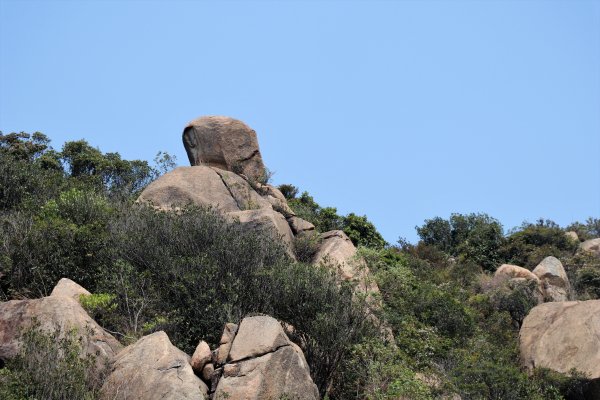 HK - 九徑山1499581