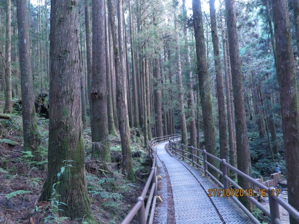 特富野古道449293