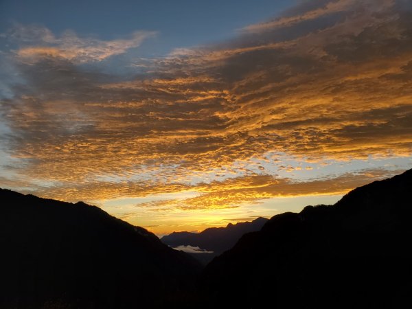 中橫大辣－屏風山1507793