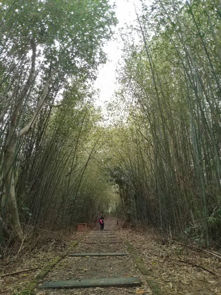 老銃櫃步道 & 三聯埤步道1231358