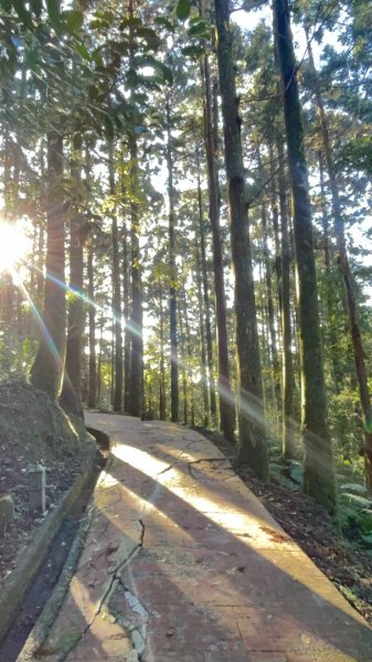 東眼山 自導式步道 三角點2975873
