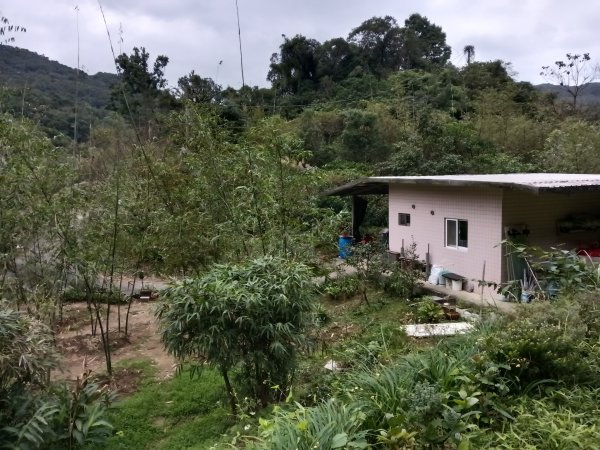 基隆市三層山+湳子大崙+淡基橫斷古道+面桶寮土地公2982281
