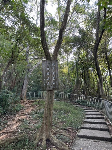田中森林公園登山步道1889736