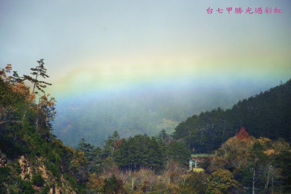 大小劍-油婆蘭全紀錄2674211