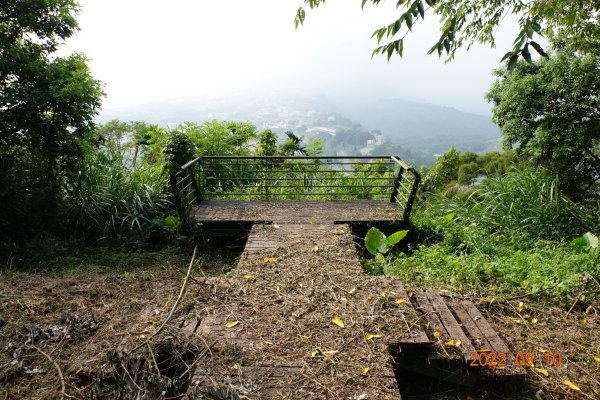 南投 鹿谷 尖子頂山(麒麟山)1841780