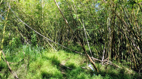 梅竹蹊山,麻竹坑山,苕谷瀑布,蝙蝠山2883300